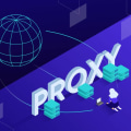 Features of a Good Proxy Checker